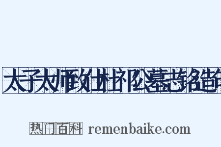 太子太师致仕杜祁公墓志铭造句是什么意思的图片